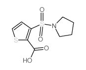 3-(吡咯烷-1-基磺酰基)噻吩-2-羧酸结构式