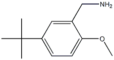 (5-Tert-butyl-2-methoxyphenyl)methanamine结构式