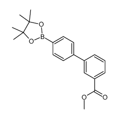 3'-(Methoxycarbonyl)biphenyl-4-boronic acid pinacol ester picture