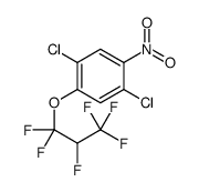 1,4-dichloro-2-(1,1,2,3,3,3-hexafluoropropoxy)-5-nitrobenzene结构式