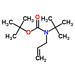 2-Methyl-2-propanyl allyl(2-methyl-2-propanyl)carbamate Structure