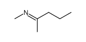 N-Methyl-1-methyl-1-butanimine picture