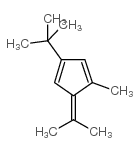 1,6,6-三甲基-3-叔丁基富烯结构式