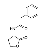 α-Phenylacetamido-γ-Butyrolactone结构式