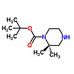 tert-Butyl 2,2-dimethylpiperazine-1-carboxylate Structure