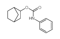 norbornan-2-yl N-phenylcarbamate结构式