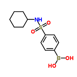 [4-(Cyclohexylsulfamoyl)phenyl]boronic acid Structure