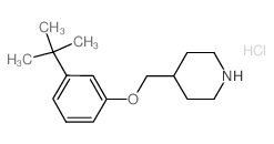 3-(tert-Butyl)phenyl 4-piperidinylmethyl ether hydrochloride Structure