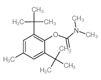 N,N-dimethyl-1-(4-methyl-2,6-ditert-butyl-phenoxy)methanethioamide structure