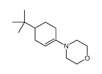 4-(4-tert-butylcyclohexen-1-yl)morpholine Structure