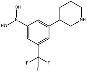 3-(Piperidin-3-yl)-5-trifluoromethylphenylboronic acid structure