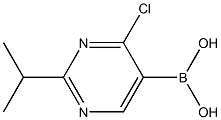 4-Chloro-2-(iso-propyl)pyrimidine-5-boronic acid图片