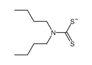 di-n-butyldithiocarbamate(1-) Structure