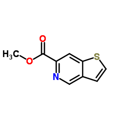 methyl thieno[3,2-c]pyridine-6-carboxylate结构式
