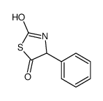 4-phenyl-1,3-thiazolidine-2,5-dione结构式