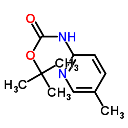 2-(BOC- 氨基)-5-甲基吡啶图片