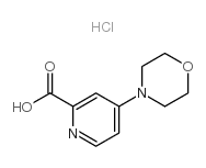 4-MORPHOLIN-4-YL-PYRIDINE-2-CARBOXYLIC ACID X HCL structure