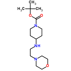 tert-butyl 4-(2-morpholinoethylamino)piperidine-1-carboxylate结构式