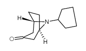 8-cyclopentyl-8-azabicyclo[3.2.1]octan-3-one结构式