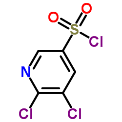 5,6-二氯吡啶-3-磺酰氯结构式