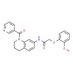 2-(2-methoxyphenoxy)-N-[1-(pyridin-3-ylcarbonyl)-1,2,3,4-tetrahydroquinolin-7-yl]acetamide Structure