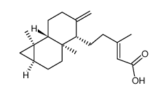 metasequoia acid B结构式