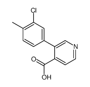 3-(3-chloro-4-methylphenyl)pyridine-4-carboxylic acid结构式