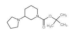 3-(1-Pyrrolidinyl)-1-piperidinecarboxylic acid 1,1-dimethylethyl ester picture