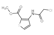 3-[(氯乙酰基)氨基]-2-噻吩羧酸甲酯结构式