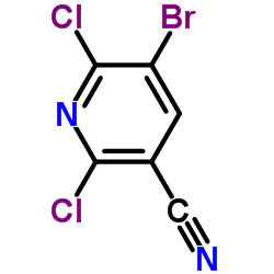 5-溴-2,6-二氯烟腈结构式