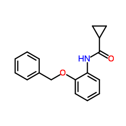 N-[2-(Benzyloxy)phenyl]cyclopropanecarboxamide结构式