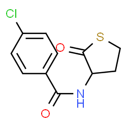 4-CHLORO-N-(2-OXO-TETRAHYDROTHIOPHEN-3-YL)BENZAMIDE结构式