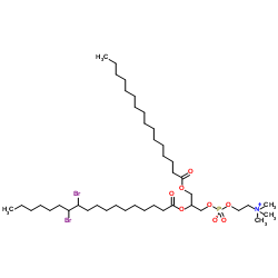 1-palMitoyl-2-(11,12-dibromo)stearoyl-sn-glycero-3-phosphocholine picture