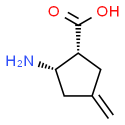 (1R,2S)-2-amino-4-methylidene-cyclopentane-1-carboxylic acid structure