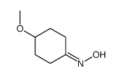 N-(4-methoxycyclohexylidene)hydroxylamine Structure