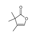 3,3,4-trimethyl-3H-furan-2-one Structure