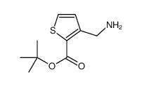 3-AMINOMETHYL-THIOPHENE-2-CARBOXYLIC ACID TERT-BUTYL ESTER picture