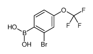 (2-溴-4-(三氟甲氧基)苯基)硼酸结构式