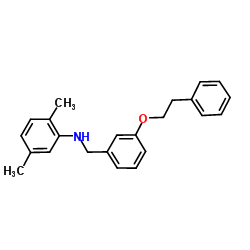 2,5-Dimethyl-N-[3-(2-phenylethoxy)benzyl]aniline结构式