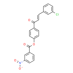 4-[3-(3-CHLOROPHENYL)ACRYLOYL]PHENYL 3-NITROBENZENECARBOXYLATE picture