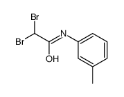 2,2-dibromo-N-(3-methylphenyl)acetamide Structure