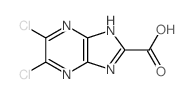 5,6-dichloro-1H-imidazo[4,5-b]pyrazine-2-carboxylic acid structure