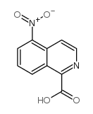 1-Isoquinolinecarboxylic acid, 5-nitro- picture
