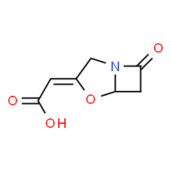 Acetic acid, (7-oxo-4-oxa-1-azabicyclo[3.2.0]hept-3-ylidene)-, (Z)- (9CI)结构式