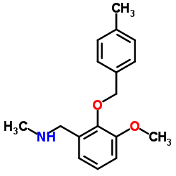 1-(3-METHOXY-2-((4-METHYLBENZYL)OXY)PHENYL)-N-METHYLMETHANAMINE structure