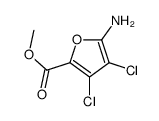 2-Furancarboxylicacid,5-amino-3,4-dichloro-,methylester(9CI) picture