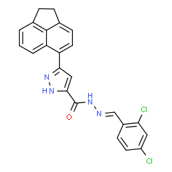 (E)-N-(2,4-dichlorobenzylidene)-3-(1,2-dihydroacenaphthylen-5-yl)-1H-pyrazole-5-carbohydrazide structure