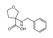 3-(benzylamino)oxolane-3-carboxylic acid structure