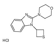 4-[1-(thietan-3-yl)benzimidazol-2-yl]morpholine,hydrochloride结构式