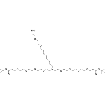 N-(Amino-PEG4)-N-bis(PEG4-t-butyl ester) Structure